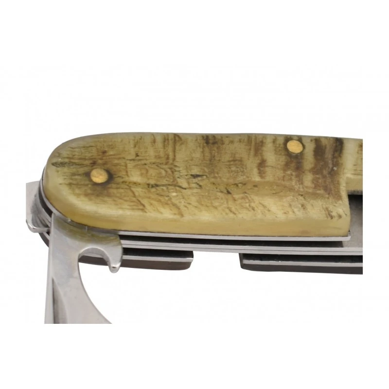 Couteau Max Knives P04 BE Pique-nique Manche Corne Bélier 3 Couteau Max Knives P04 BE Pique-nique Manche Corne Bélier – Image 3