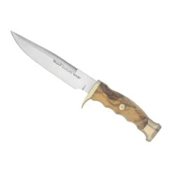 Poignard Muela Ranger 14cm Olivier Inox