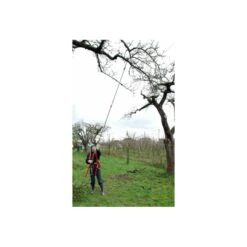 Scie à élaguer Forester Télescopique - Silky -Couteaux Soldes Magasin scie a elaguer forester telescopique silky 3